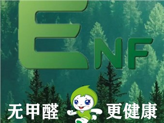 環(huán)保、健康、耐用、美觀的寰宇ENF級(jí)板材是您值得信賴的家居材料